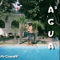 VIP - Single - MrChoka PF