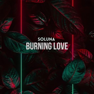 Burning Love - Single