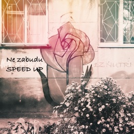 Ne zabudu (Speed up) 1ZNUTRI