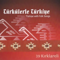 Zara - Uzun Kavak Ne Gidersin Engine