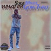 What im Goin Thru - Single