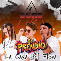 SE PRENDIO (feat. ILAMIKE, Jae S & Dianuka Yogi) - Single - Duro And Lit