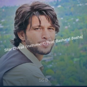 Sitar Chitrali (feat. basharat basha)