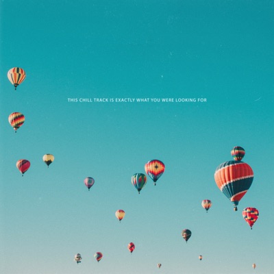 this chill track is exactly what you were looking for - Single