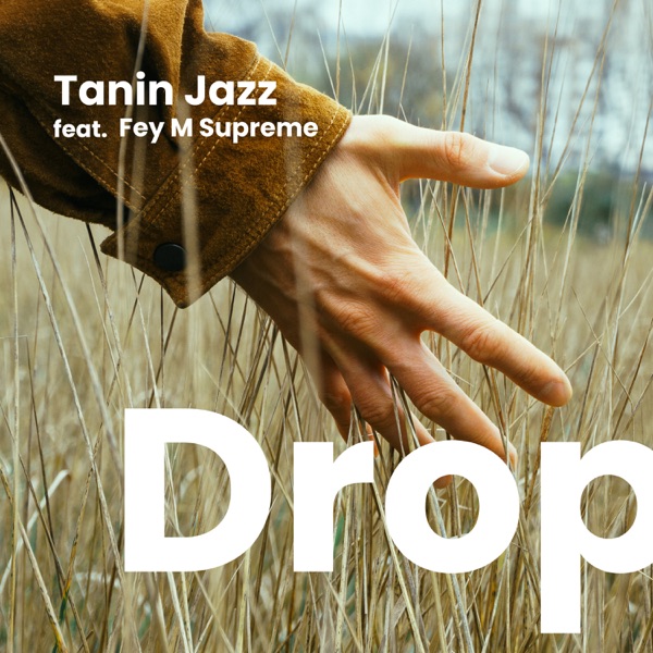 Drop (feat. Fey M Supreme)