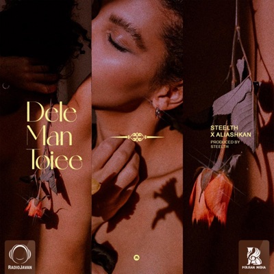 Dele Man Toiee (feat. AliAshkan) - Single