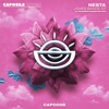 James Bande - Nesta