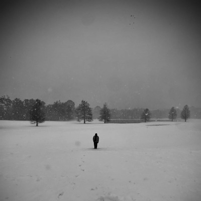 FLY (feat. STATVARTAN) - Single