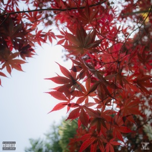 On & Off Stage (feat. Ian Charles)