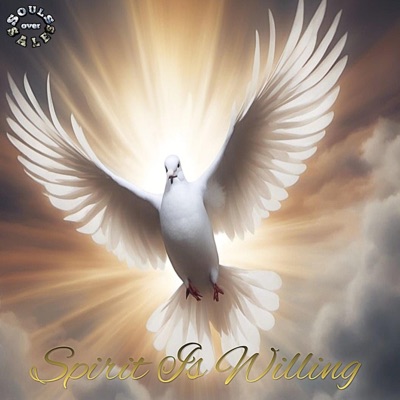 Spirit is willing - Single