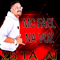25 Tá Aí - Single - mc fael na voz