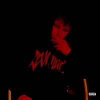 AIDEN (deluxe) - AIDEN