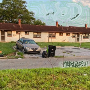 Woods of Delaware (feat. Cosmos Sunshine) - Single