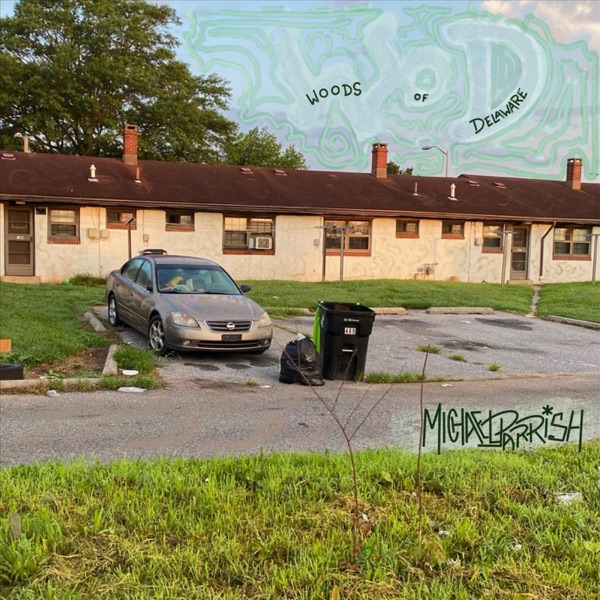 Woods of Delaware (feat. Cosmos Sunshine) - Single