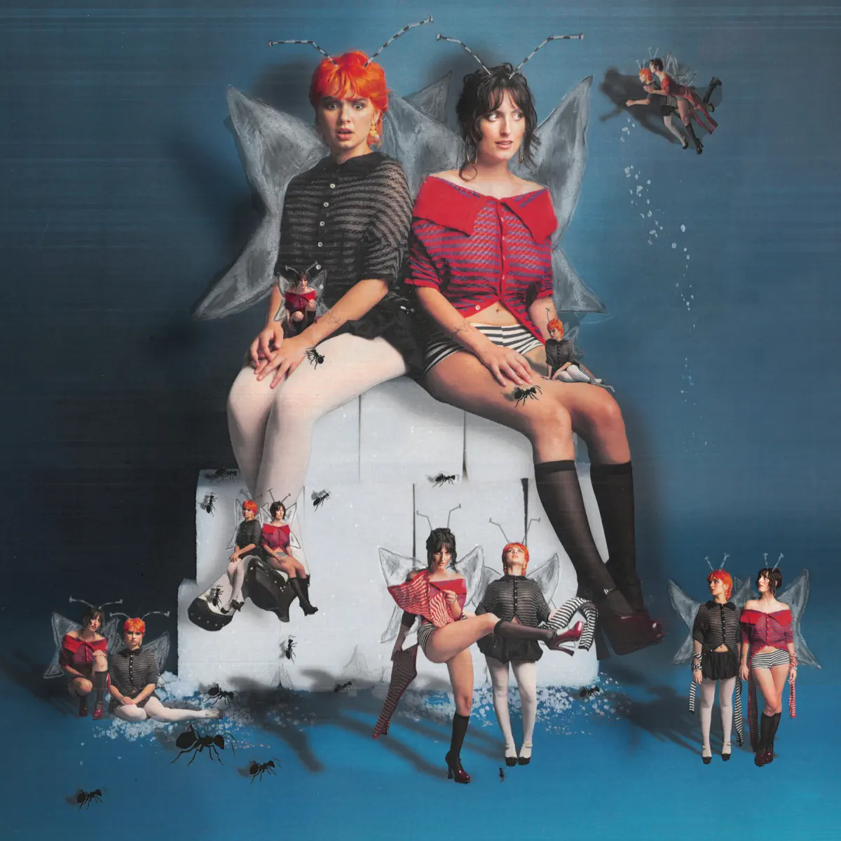 The Army, The Navy - Sugar For Bugs (2024) [iTunes Plus AAC M4A]-新房子