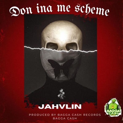 Don inna Mi Scheme (feat. Bagga Cash) - Single