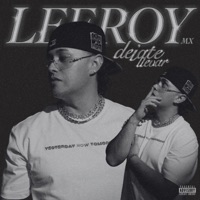 Déjate Llevar - Single - LeeRoymx