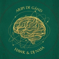 Aripi De Gând - EP - DJ Nasa
