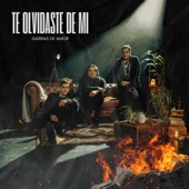 Te olvidaste de mi artwork