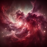 Show the World - Single - Lil Wondr Boy