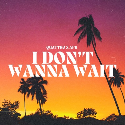 I Don't Wanna Wait - Single