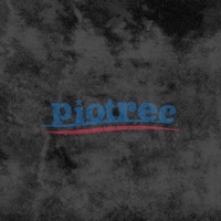 BERNIE SANDERS FREESTYLE - Single - piotrek