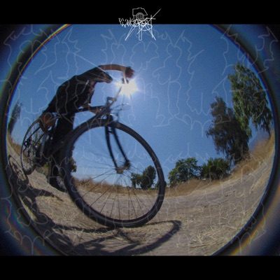 CURLY BRACE - Single