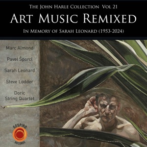 The John Harle Collection, Vol. 21: Art Music Remixed