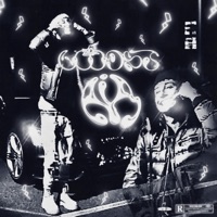 goodstAIR - Single - V3N70 V3N71 SANTON