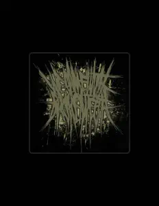 Listen to wecamewithbrokenteeth, watch music videos, read bio, see tour dates & more!