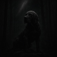 BLOODHOUND - Single - Quatro