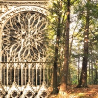 embrace - Single - Aesaph