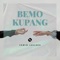 DJ BEMO KUPANG FYP - EDWIN LAULAKA lyrics