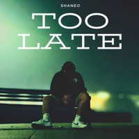 TOO LATE - SHANEO