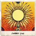 Summer Sun