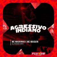 Agressivo Indiano - Single - Mc Magrinho, Mc Maiquin & Dj Pikeno Mpc