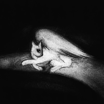 Zone de confort - Single