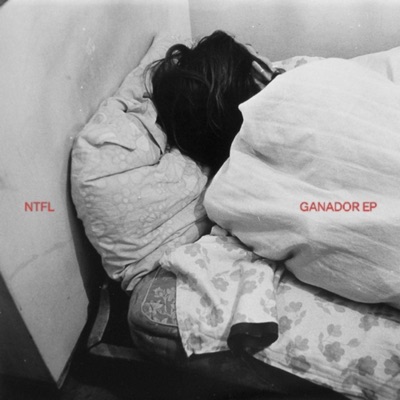 NTFL x Adeller - A Veces Entiendo Pero No Comprendo y Luego Comprendo Pero No Entiendo - Single