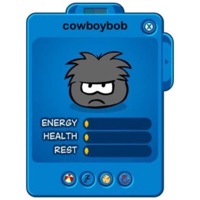 The First Rodeo - cowboybob