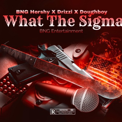 What The Sigma - Single