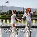 Zbog tebe