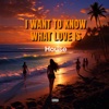 i want to know what love is (Electro House) - Single