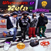 shroomzatNela (feat. IamLilCREEDTAVO & Lilspdxr) - Single - Don Ramiah