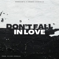 Don't Fall In Love (feat. Chendo & Bigfella) - Single - Gorrsowtu