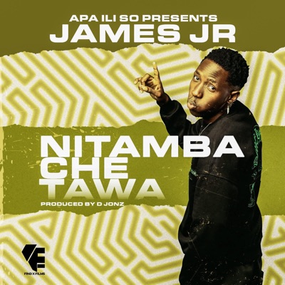 Nitamba Che Tawa - Single