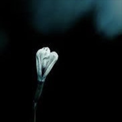 how do ppl manage? - Single