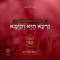 ‎⁨זרעא חיא וקימא - Single - R' Cheskie Weisz, Menachem Moskowitz & Avrumi Berko