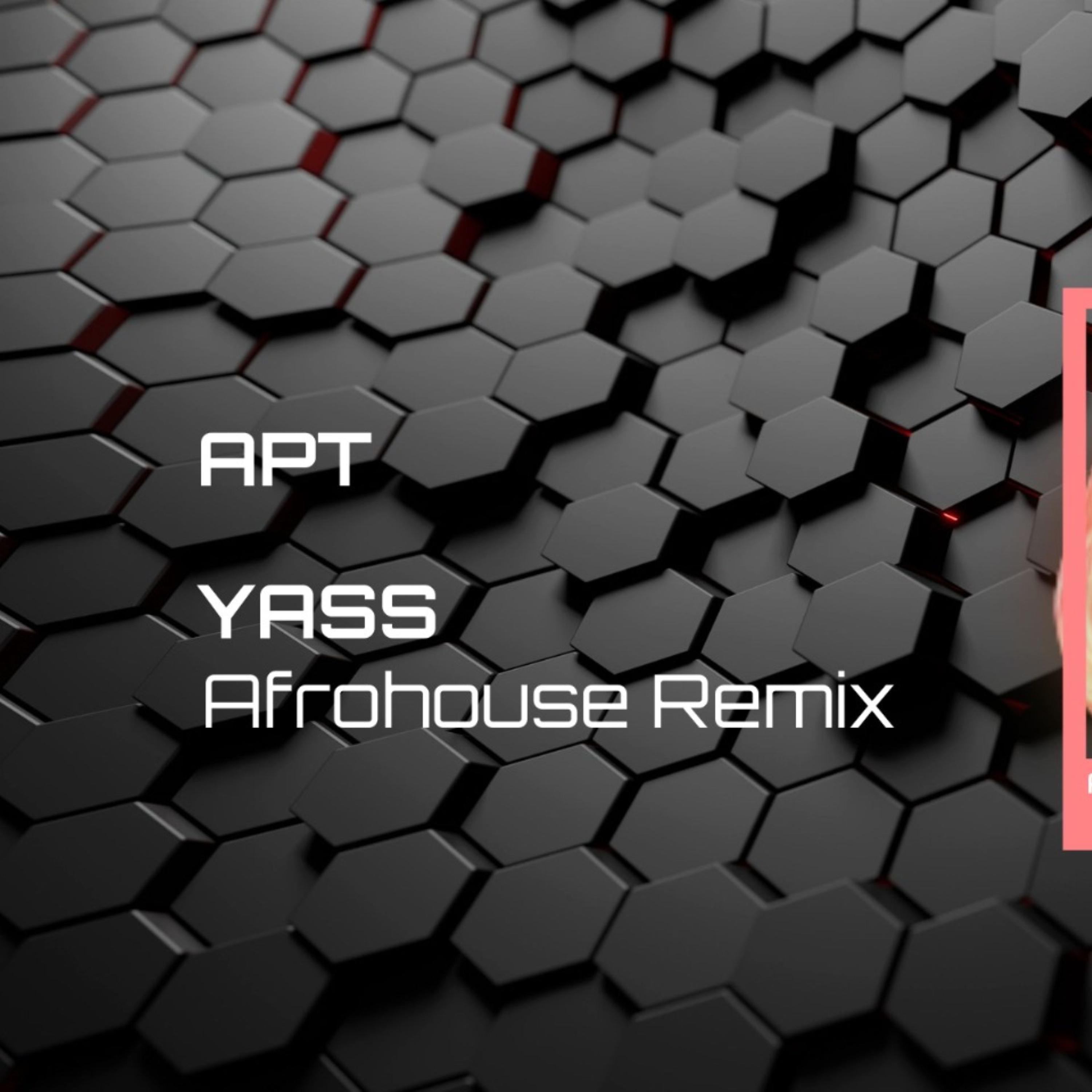 APT-YASS Afrohouse - Single