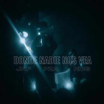 Donde nadie nos vea (feat. rdg02 & PZA) - Single