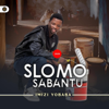 Slomo Sabantu - Ngeke Balunge (feat. Shenge Wasehlalankosi) artwork